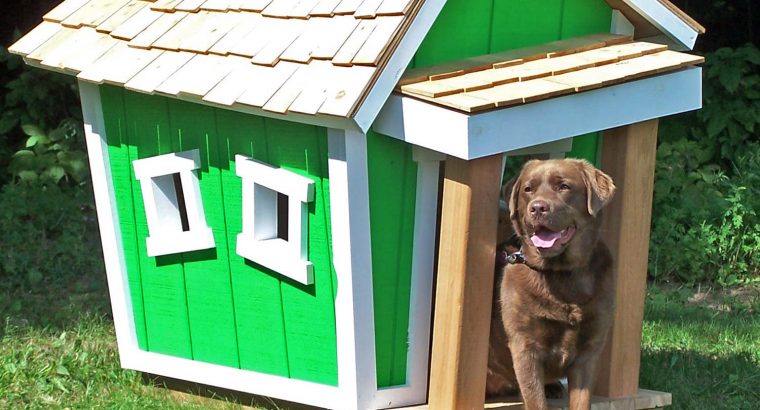 Dog Kennels and Entry-Exit Doors